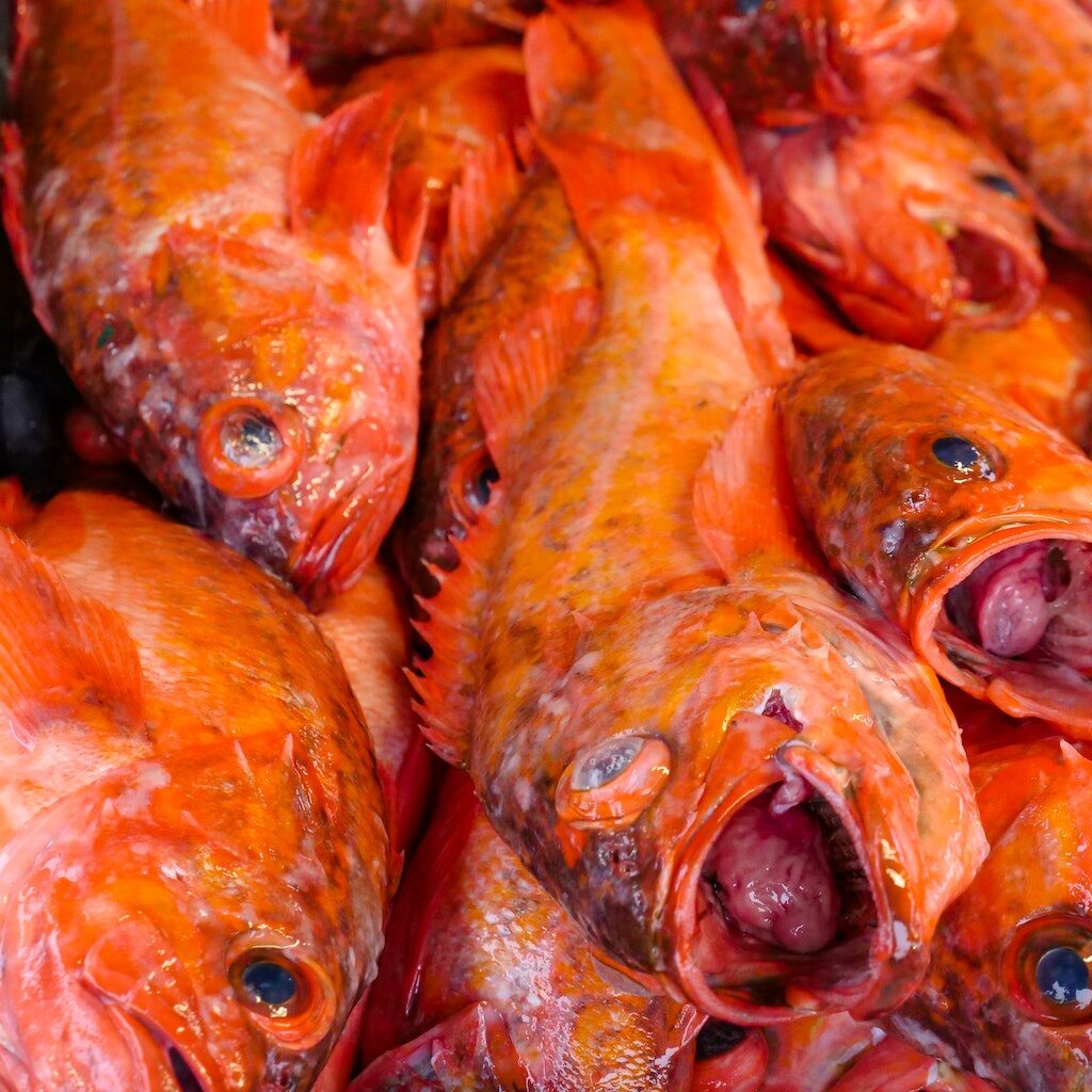 Local fish prepared by our team of chefs